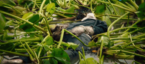 105湄公河惨案死者图片图片