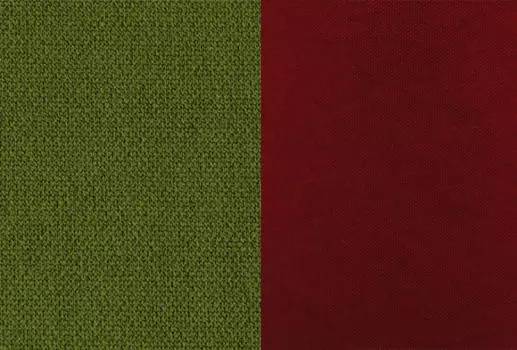 ▼半正装风格 进阶版以军绿色的西装外套为主轴,搭配的是暗红色的领带