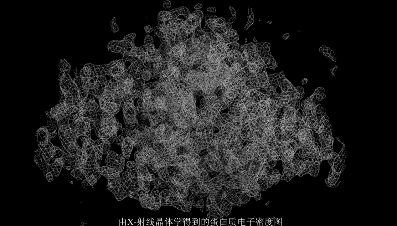 为了得到蛋白质的三维结构图像,研究人员使用x射线晶体学技术.