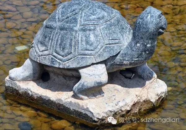 黄山奇石乌龟图片