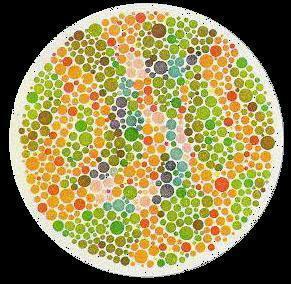 你是色弱or色盲?10张图,你会败在第几张?