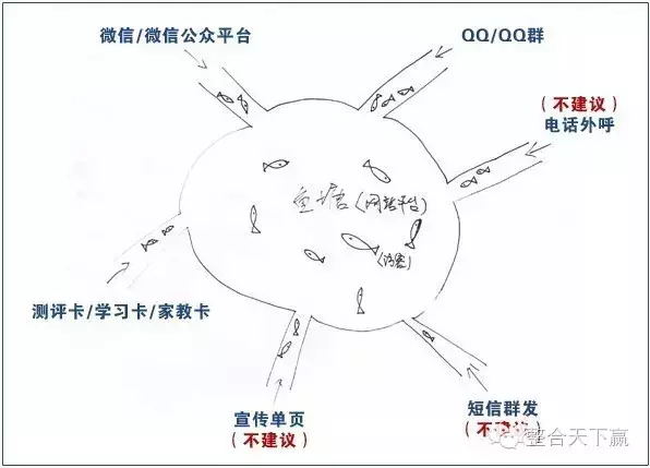 从鱼塘理论到营销之道.