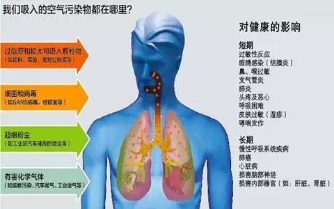 氮氧化物对人体的危害图片