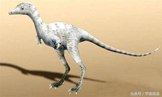 最小的恐龙名字图片