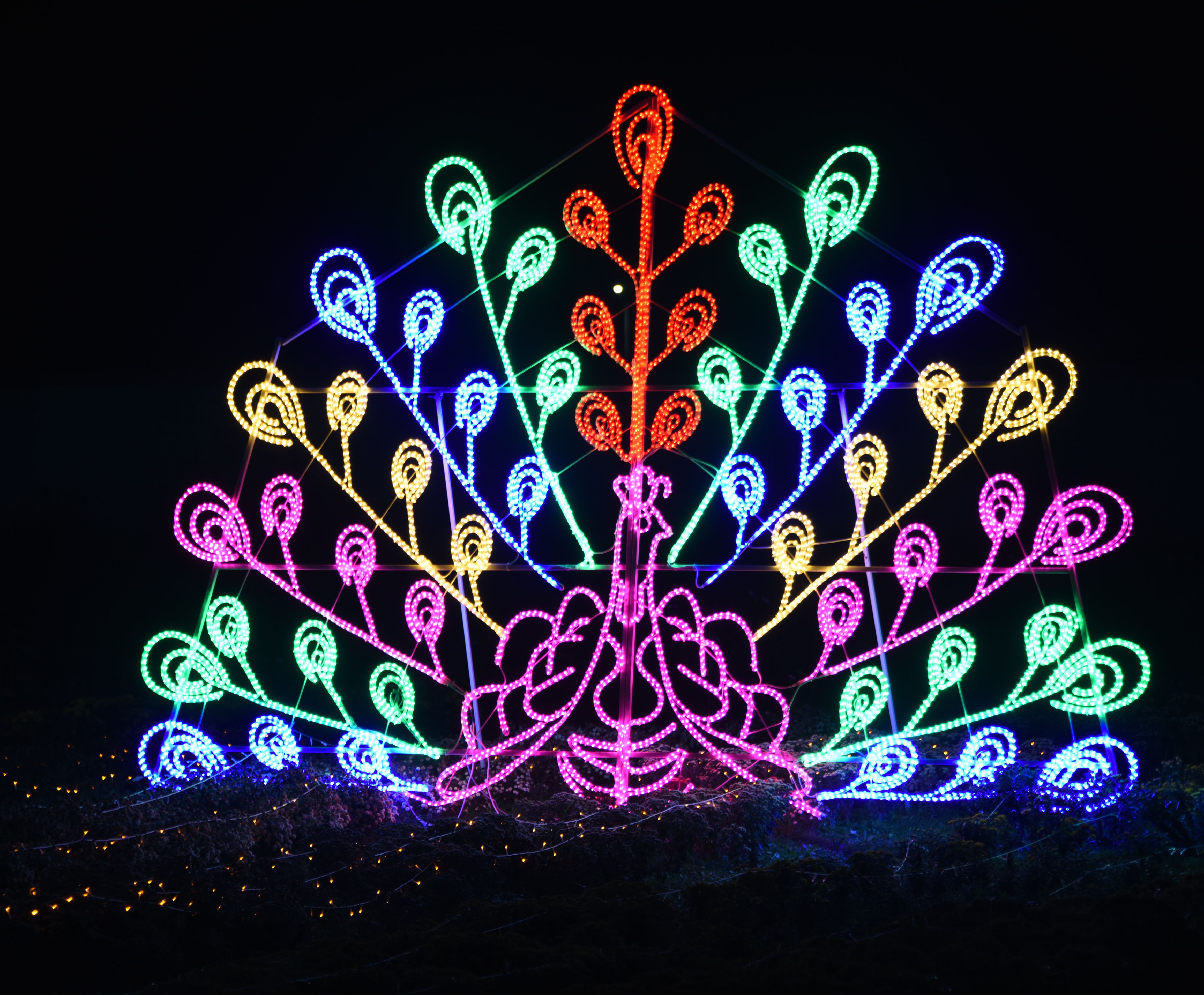风靡全球奇幻灯光展 在台湾农民创业园华丽绽放