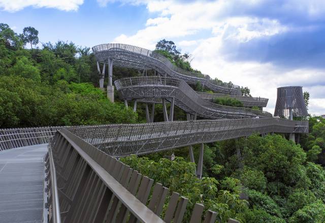 乌山路绿树成荫