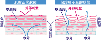 为什么皮肤越来越容易过敏了