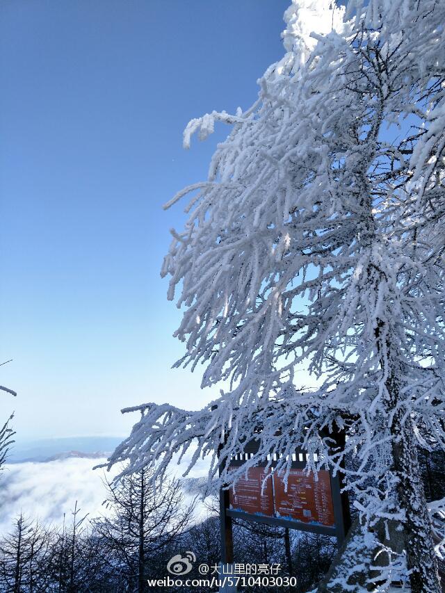 大美陕西:宝鸡太白山下雪啦  飞雪组图震撼来袭!