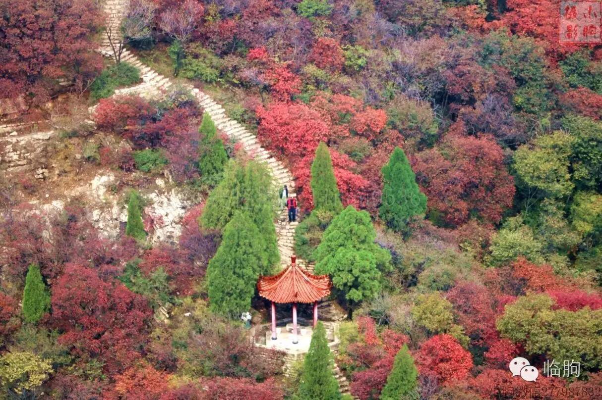 臨朐石門坊:秋日紅葉最相思,片片紅葉片片情!