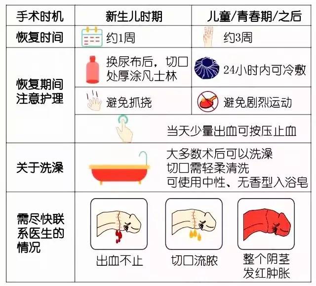 儿科图谱切除包茎男孩子生殖更健康