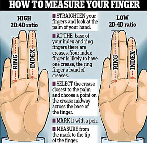 研究:手指长度透露人的性格和才干