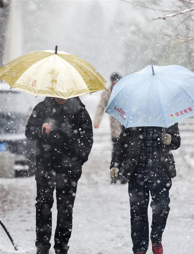 的第一场雪 让我们惊喜倍至 我国北方很多地区 也迎来降温降雪天气