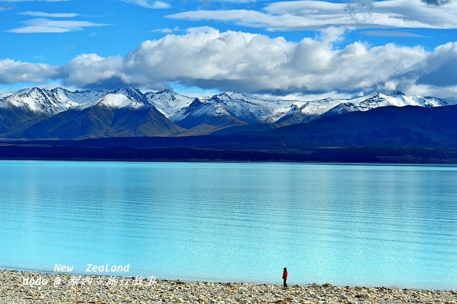 空灵缥缈的新西兰奶蓝色普卡基湖