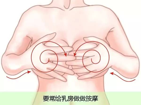 女性乳房图解ppt课件图片