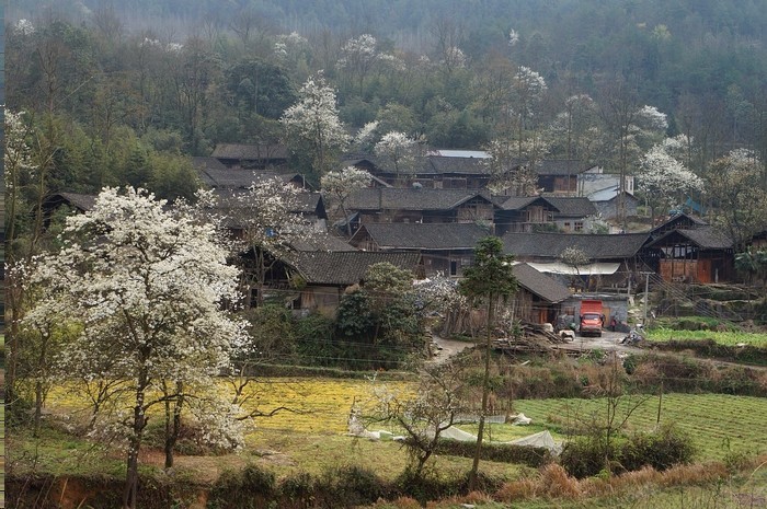 从北京出发往西约120公里,绿水青山,白墙灰瓦,一座整洁有秩的村庄出落