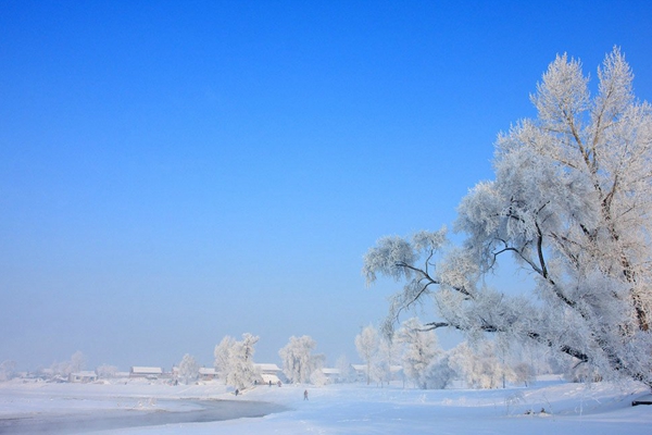 那年冬天雪在飘中国五大最美雪景