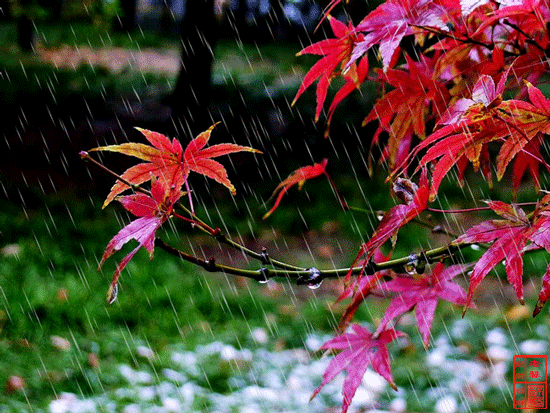 有雨如詩, 有雨如畫