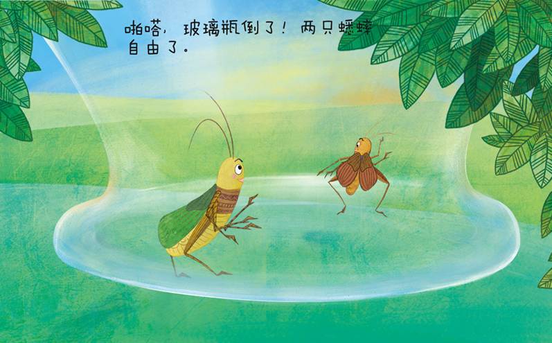 捉蟋蟀小班绘本故事图片