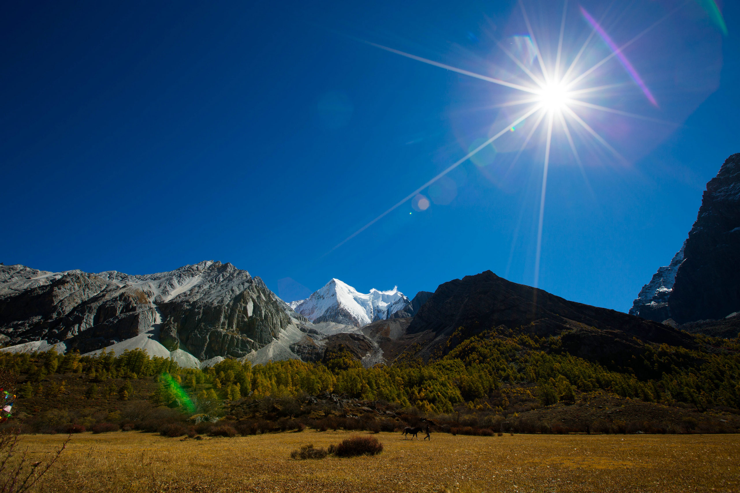 川西高原最美秋色:甘孜处处是美景(图)