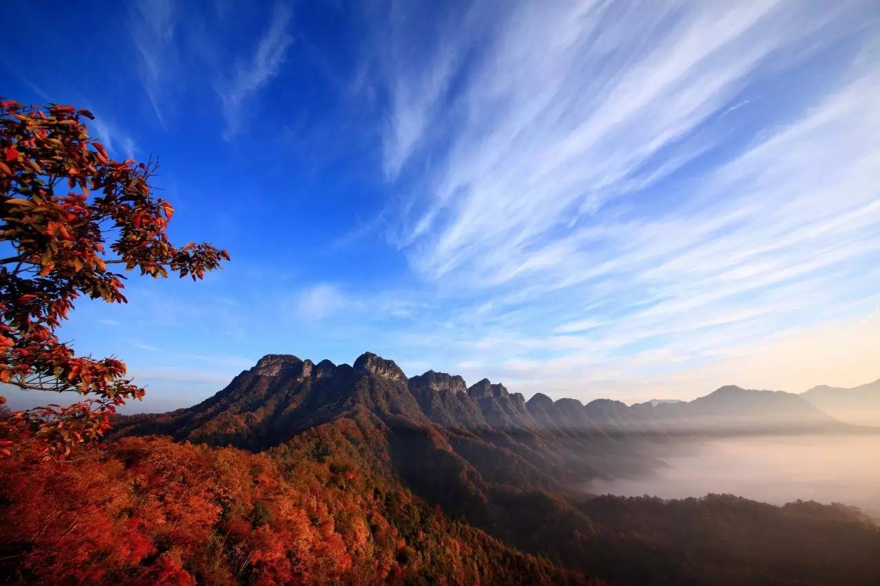 光雾山中国红叶第一图片