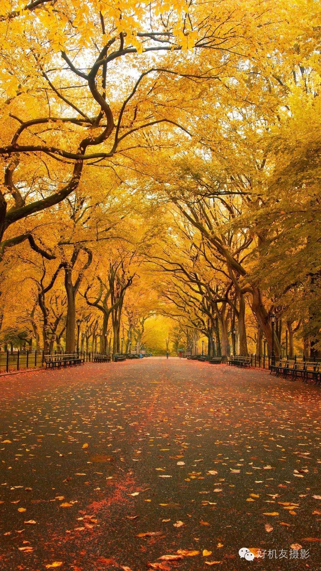 60张精彩绝伦的秋色照片，每张都能当壁纸-搜狐