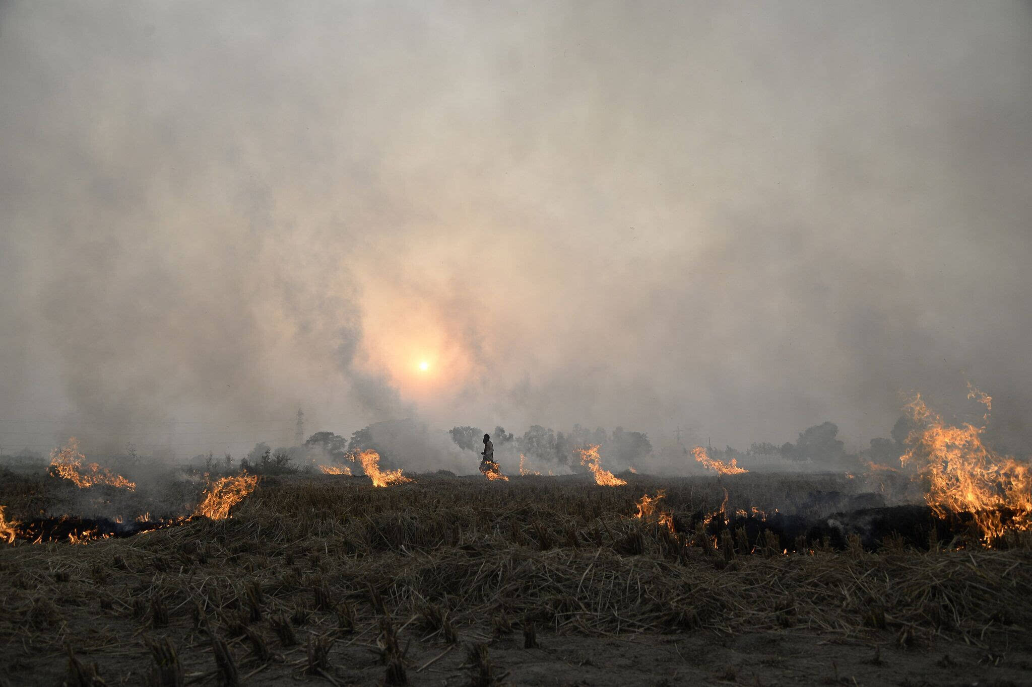 印度治污行动忽略一大污染源:农民焚烧秸秆