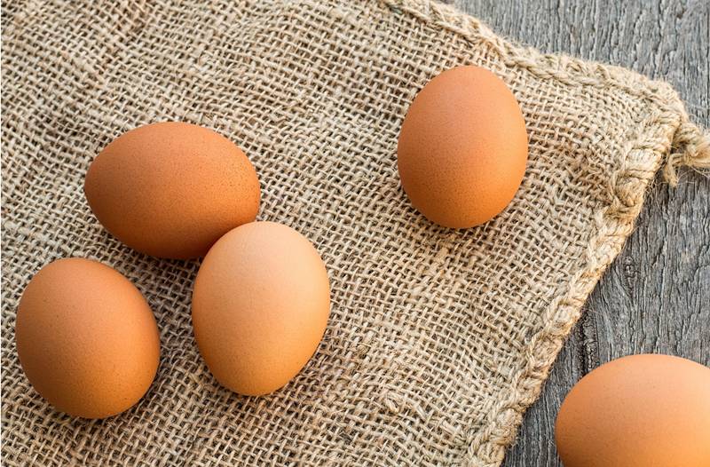 鸡蛋可以说是最适合人类食用的蛋类,每百克鸡蛋中含蛋白质12