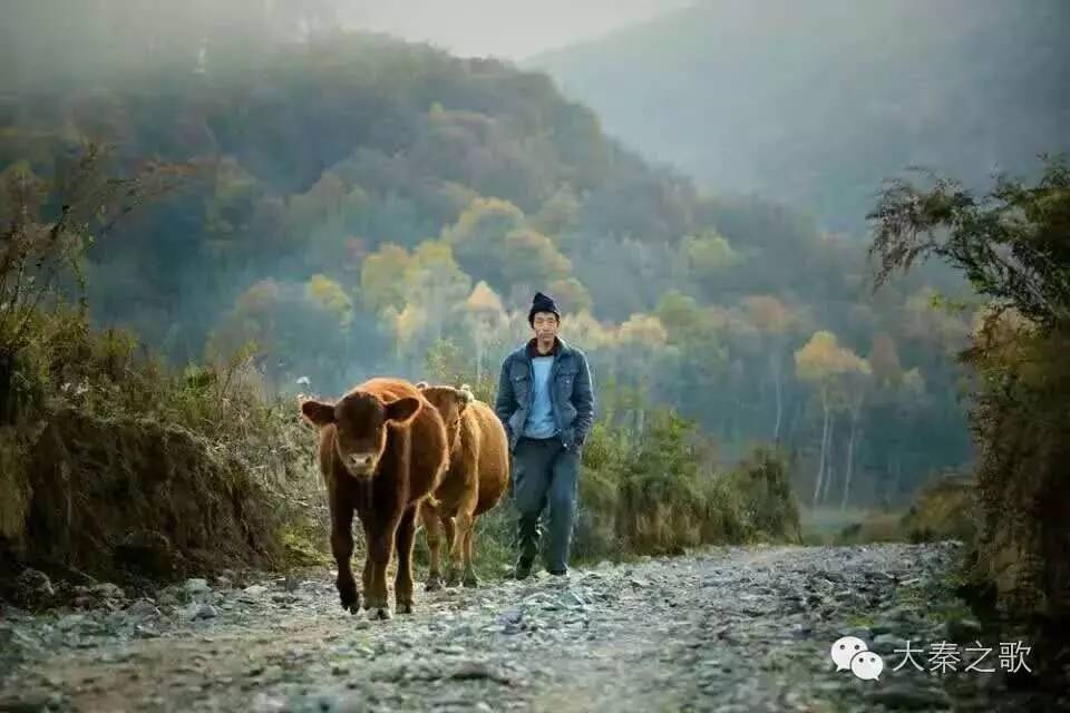 有一種久別的親切感,看著這裡的山川河流,想起小時候在這裡快樂的玩耍