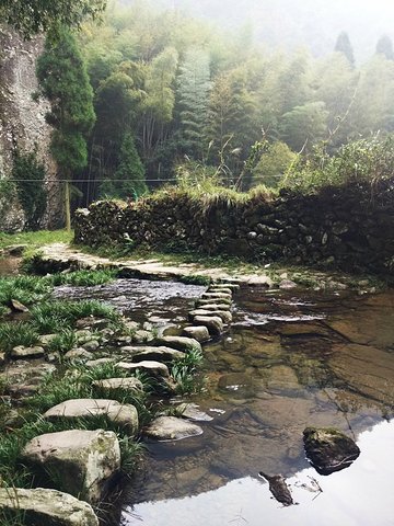 凤阳小田园图片