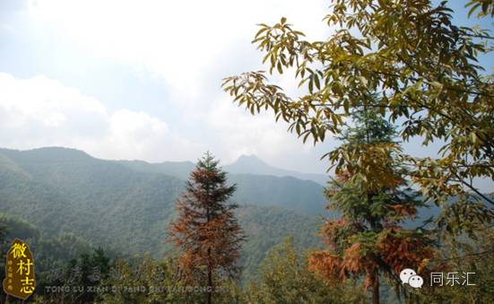 【微村志】分水镇塘源村