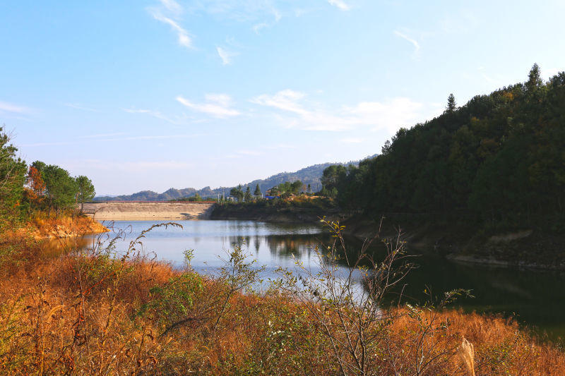 时值冬季,宜昌市夷陵区下堡坪乡十八湾休闲旅游区杜鹃花开,成为宜昌