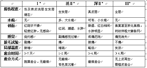 烧伤九分法图表图片