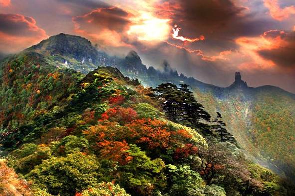 贵州红叶最美的地方图片