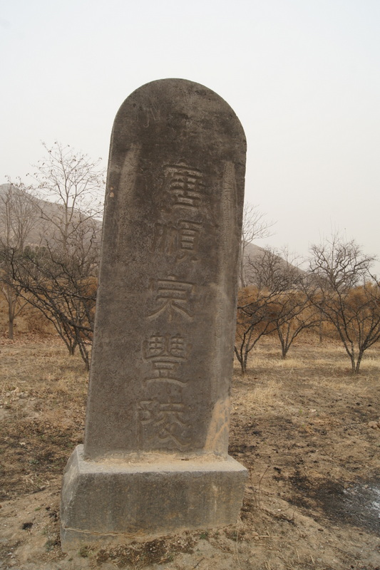 唐代宗墓图片