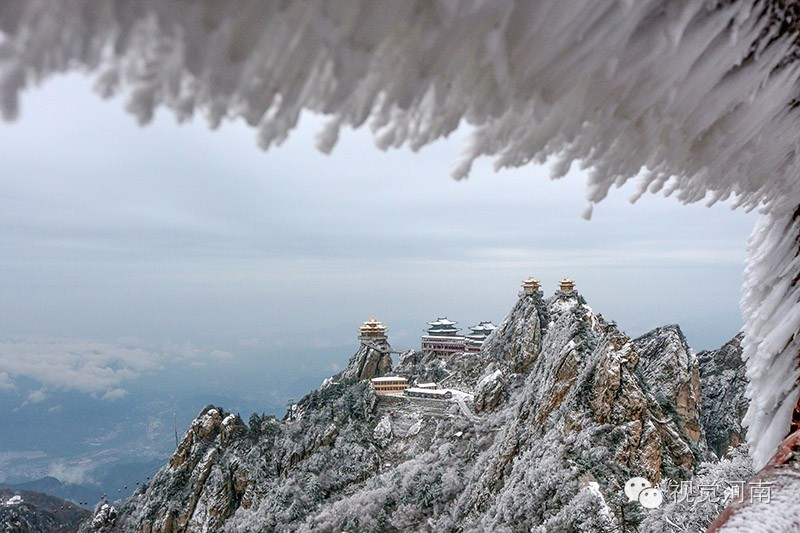 10天三場雪,這個老君山服務員拍出的冰雪世界美得令人窒息