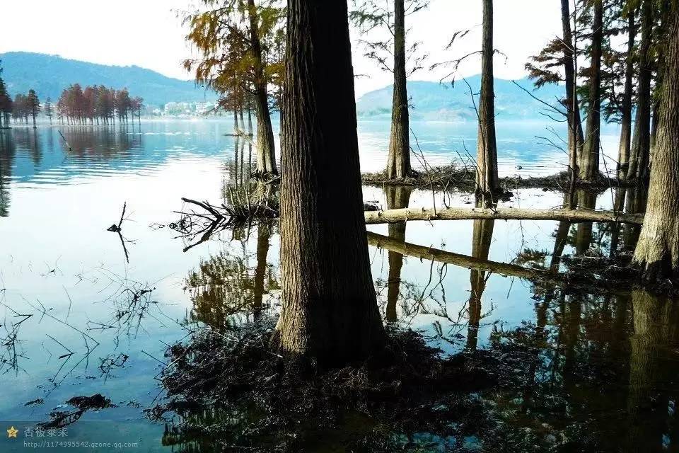 也可从榧坑村走望海岗方向,过澄深村上山,到望海岗后,继续往前,从马岙