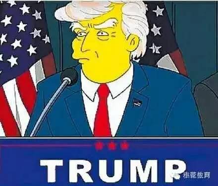 美国总统大选漫画图片