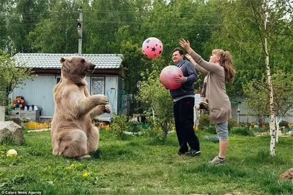 果然是战斗民族!来自俄罗斯的一头"网熊"