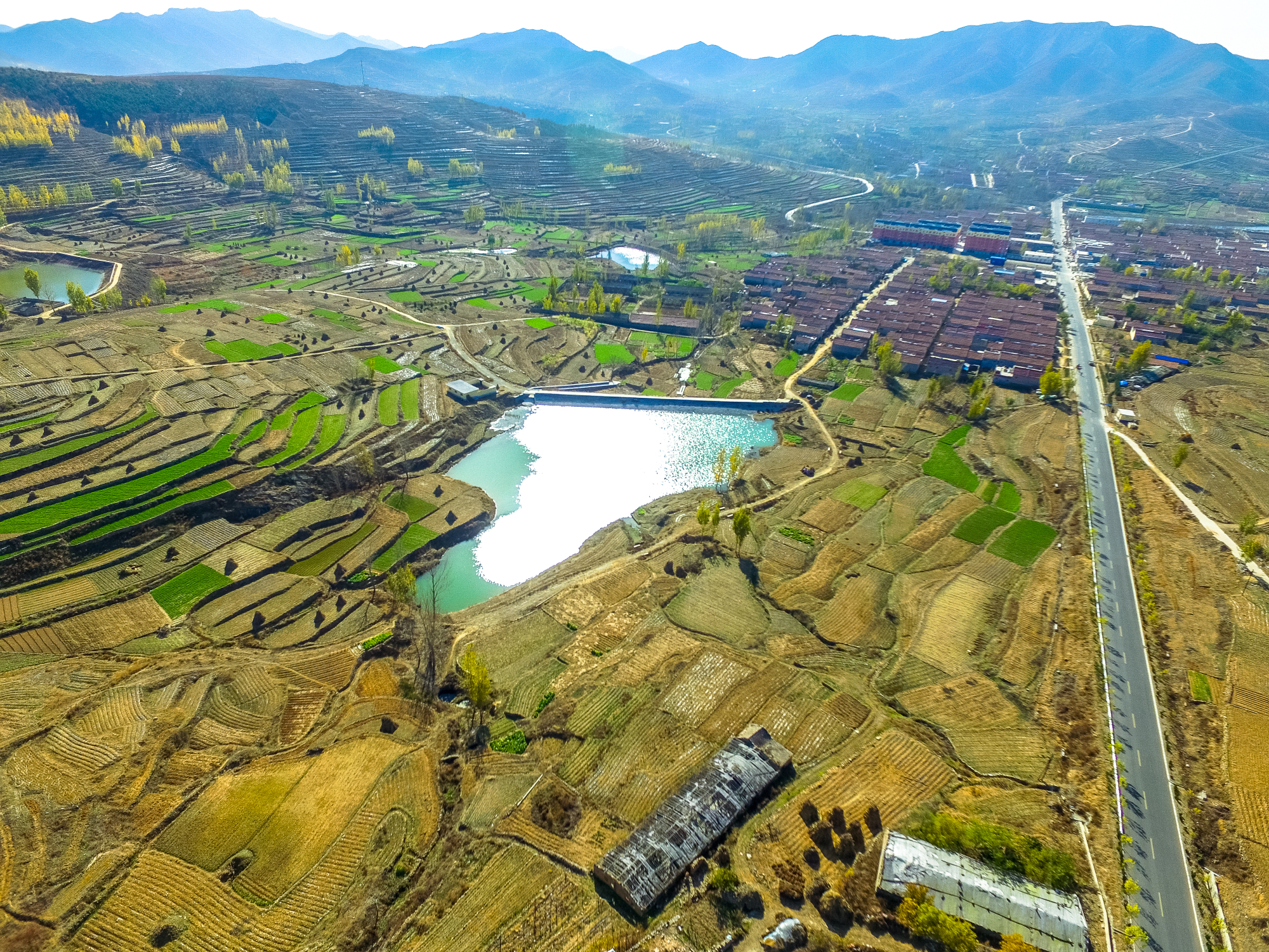 莒县峤山恶霸图片