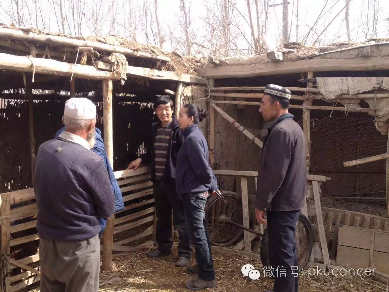 链接:铁热克阿勒迪村地处新疆维吾尔自治区和田地区皮山县西南54公里