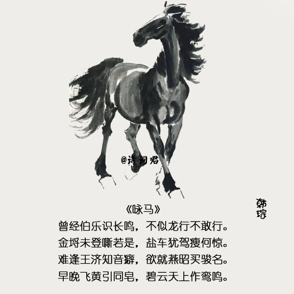 关于描写马的一些诗词送给你们