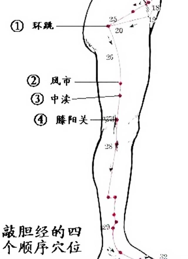 胆经敲打按摩健身黑发法