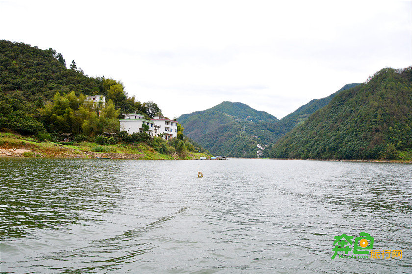 賞新安江山水畫廊攝陽產土樓摘三口蜜桔