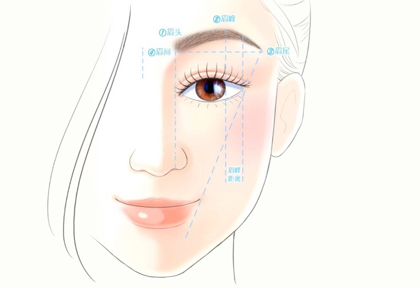 在整个彩妆过程中最为重要的是粉底的正确涂法和眉毛的正确画法
