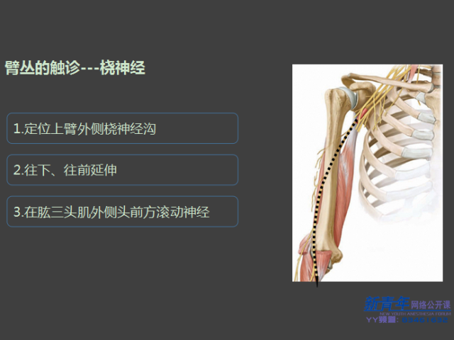 看完这部视频做好臂丛神经阻滞soeasy