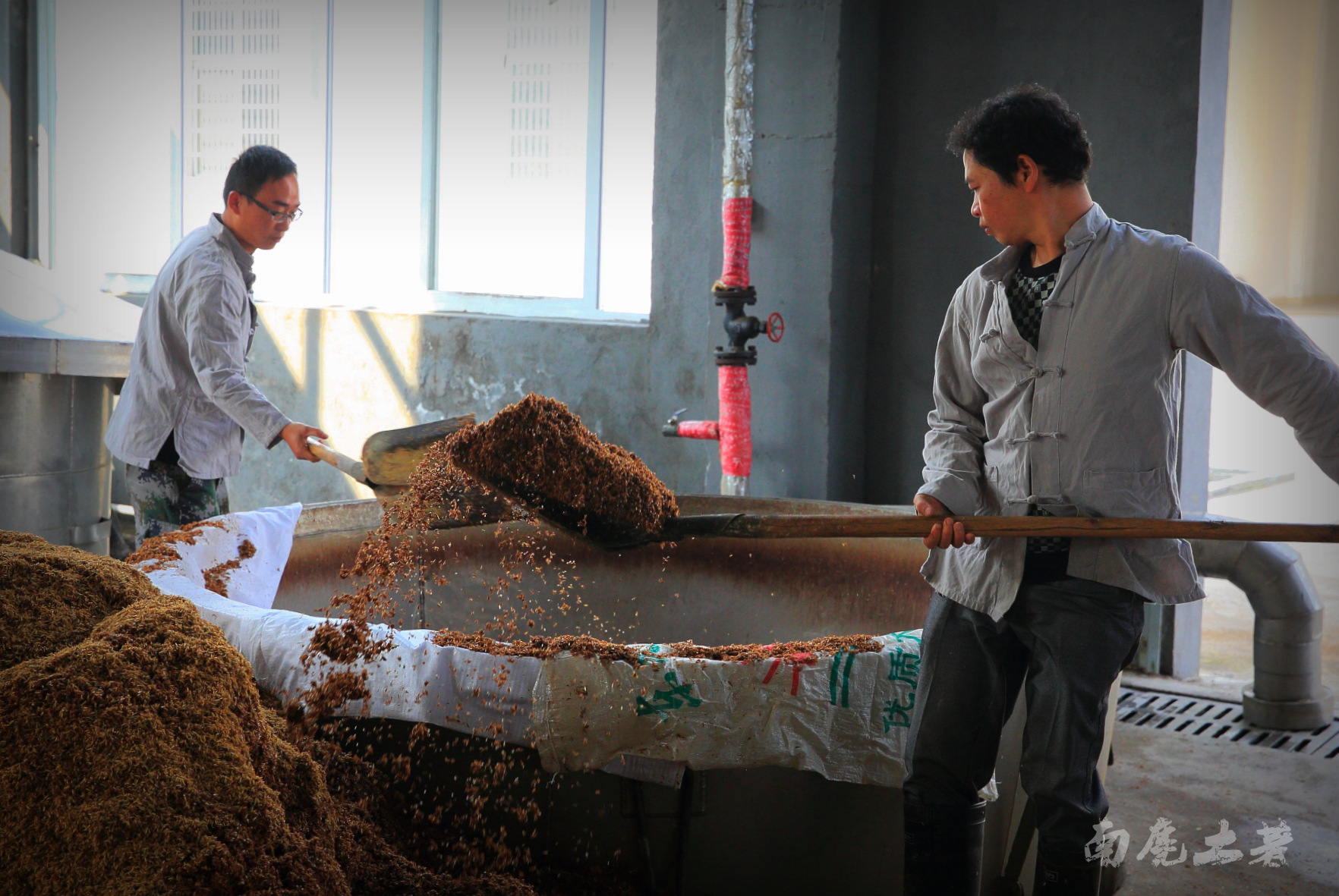 信州春酒的原料采用大米,糯米,玉米,高粱等粮食材料,根据酒类品种搭配