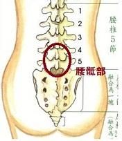 腰骶段先天异常,腰骶段的畸形可使发病率增高,这些异常常造成椎间隙
