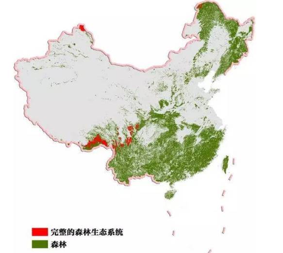 傻了什么云南又被超越了我们的森林覆盖率居然排不进前七
