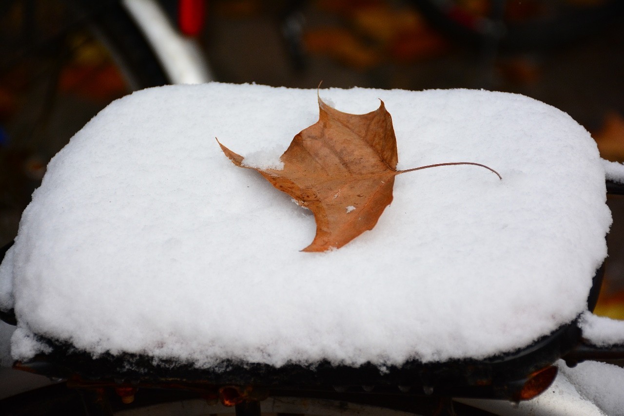 你好,中傳的初雪