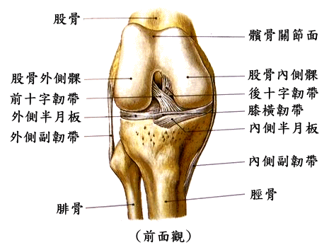 您离滑膜炎有多远?